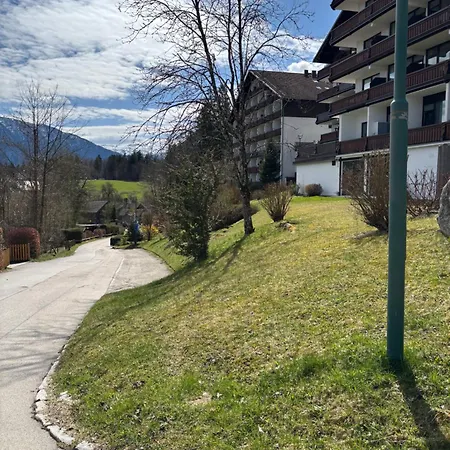 Apartment Helena Bad Goisern Exterior photo